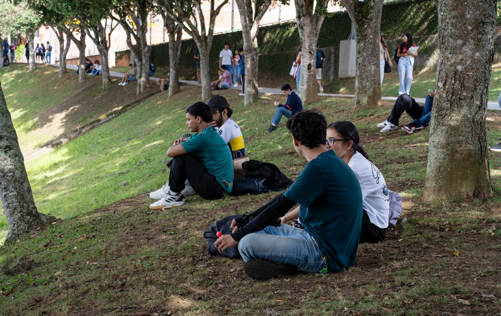 Estudiantes sentados en prado del campus.